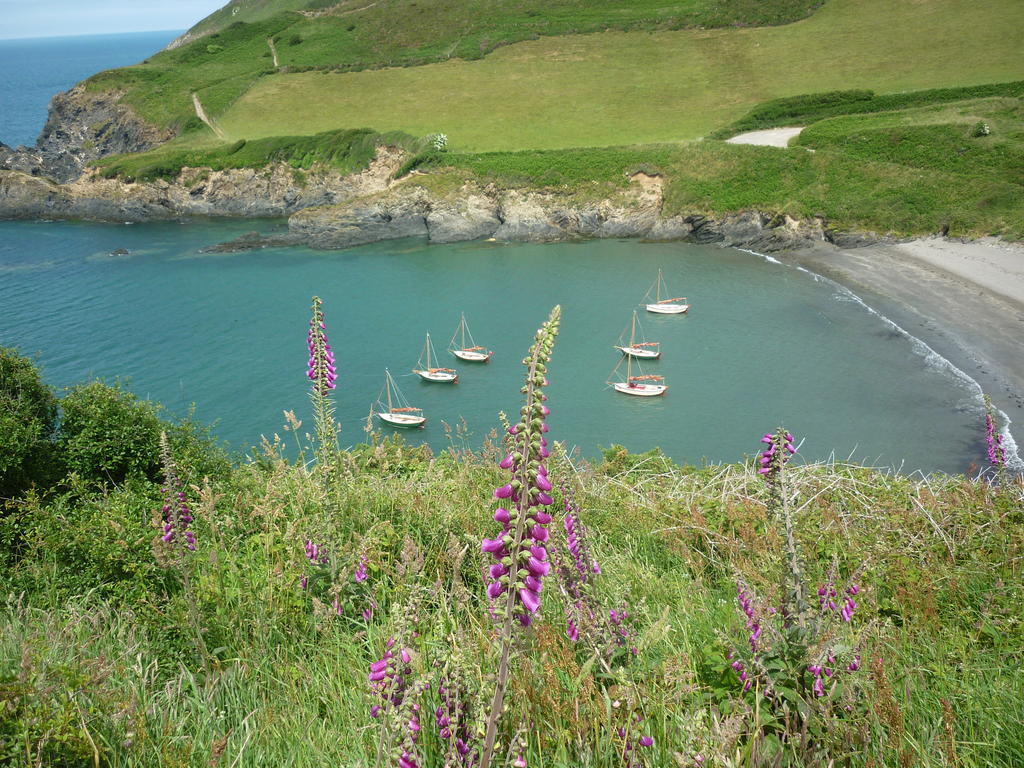 Tabor House B&B Fishguard Kültér fotó