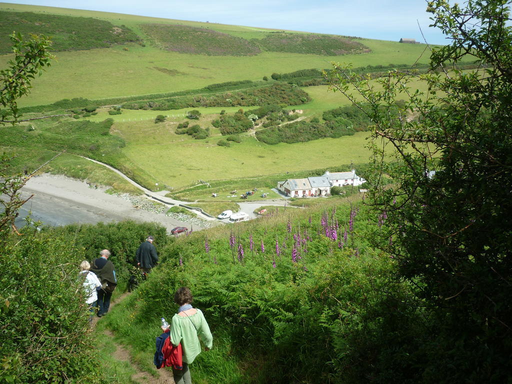 Tabor House B&B Fishguard Kültér fotó